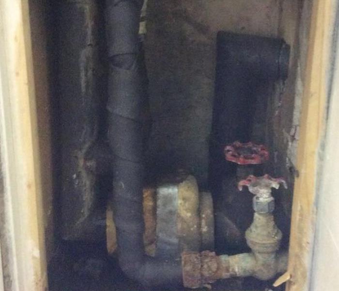 Main Water Supply Line is the Cause of Water Damage
