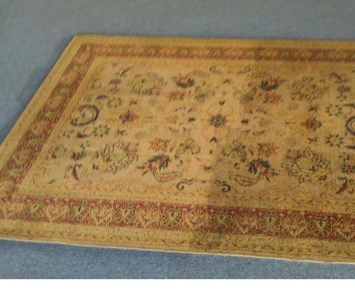 Tan area rug with design around the edge.  Rug is cleaned