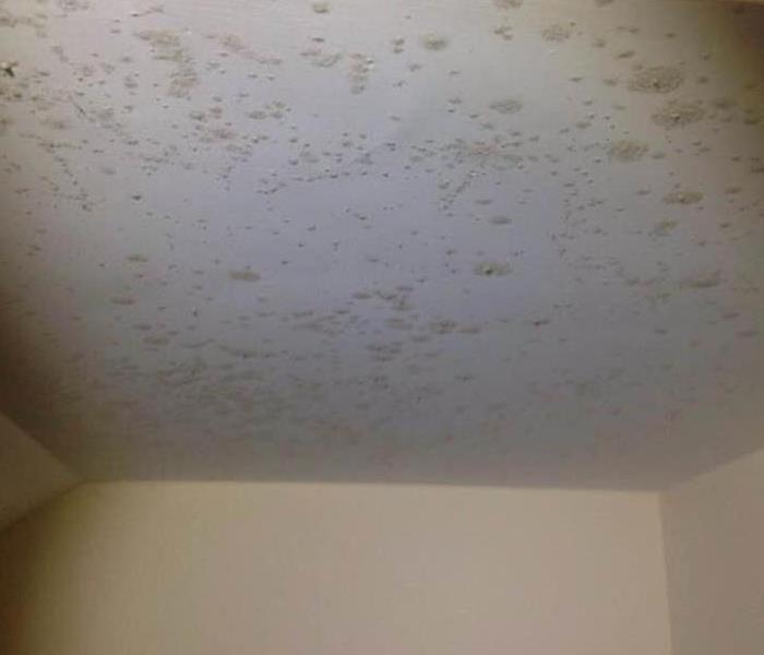 Bathroom ceiling with spots of mold.