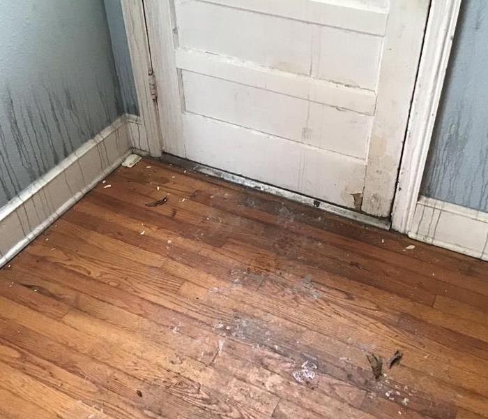 Light Blue Walls, White Door, hardwood floors all covered in soot from a fire