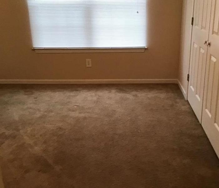 Brown carpet in an empty room
