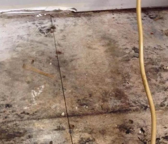 Refrigerator moved and moldy flooring is exposed 