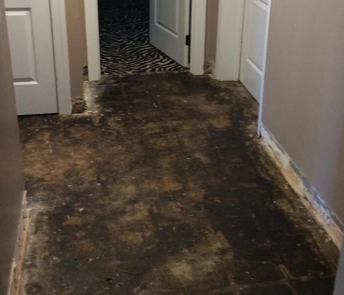 hallway with flooring removed to the subfloor