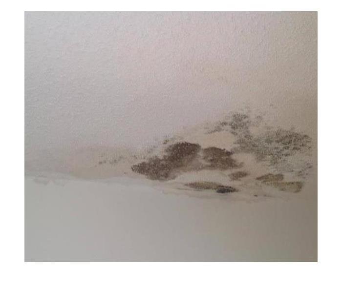 Mold above a bathroom ceiling 