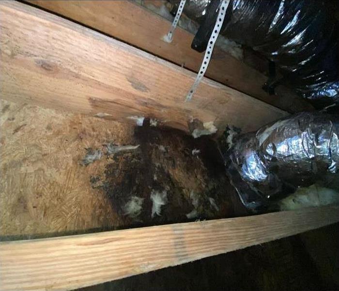 Crawlspace rafters covered in mold